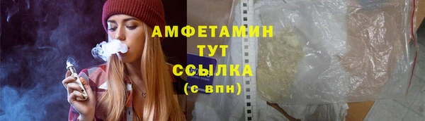 прущие грибы Армянск