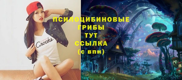 дурь Арсеньев