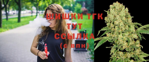 дурь Арсеньев