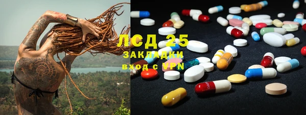 прущие грибы Армянск